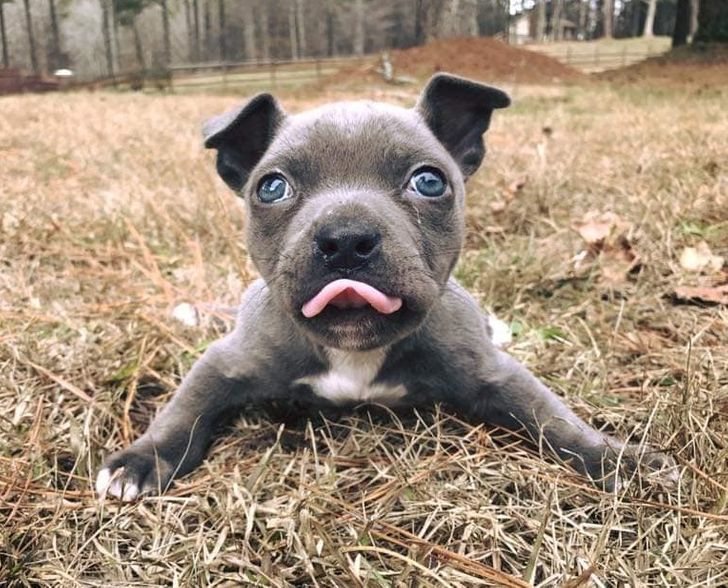 71f0e35872b99cb559c5e555e3 71f0e35872b99cb559c5e555e3