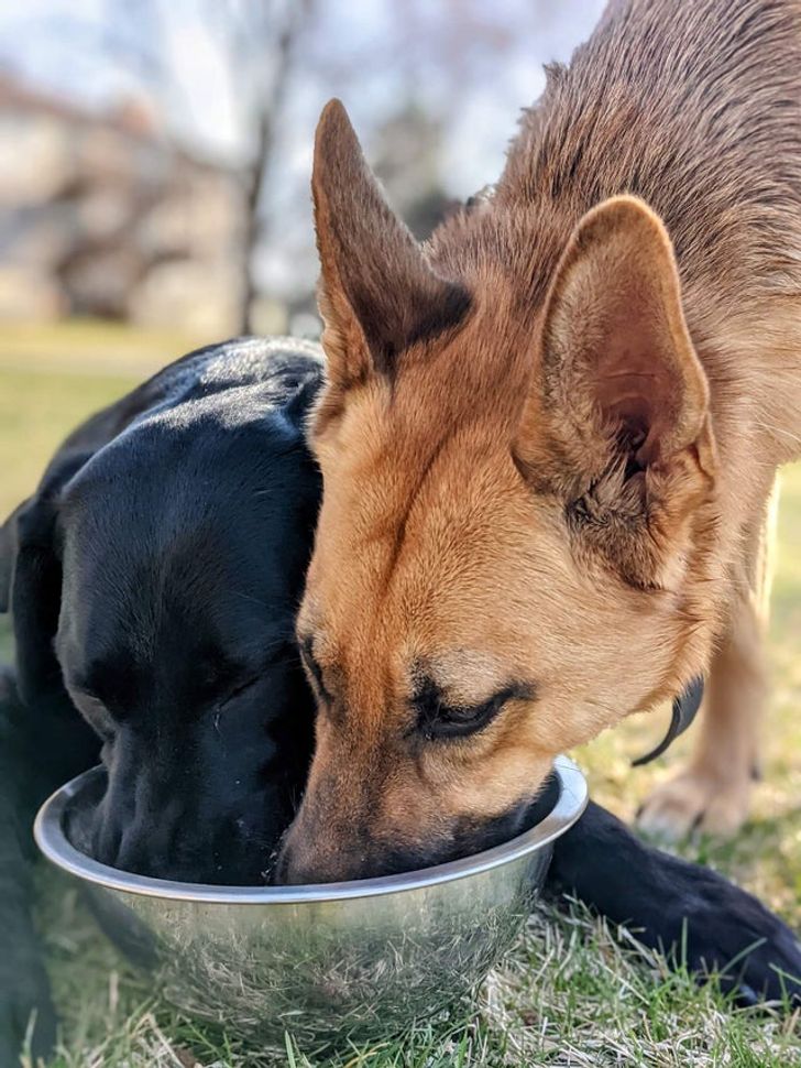 71f600592dbcb38ba1a7767064