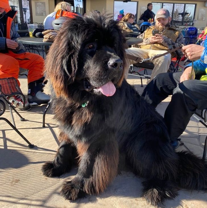 72036d5abc804b44e3a6970a7c