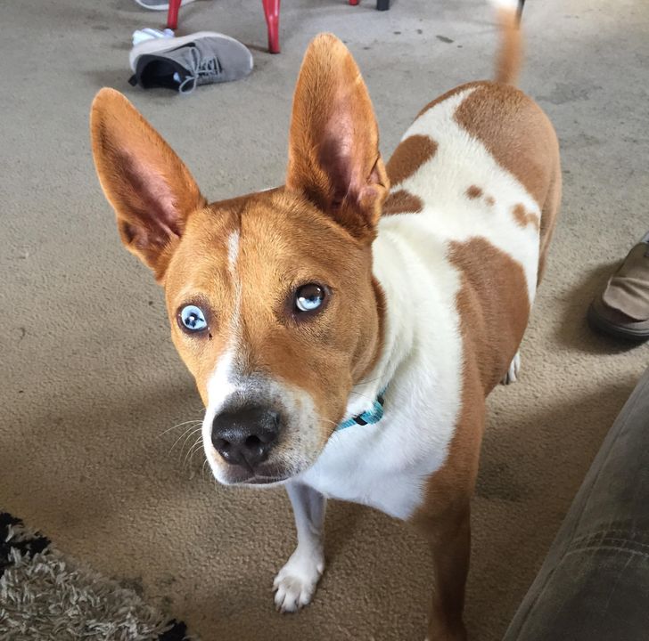 72047d5ac597ebee5303d4adc6