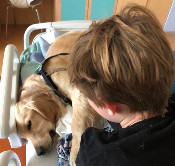 720821501a90b67d53ef491544