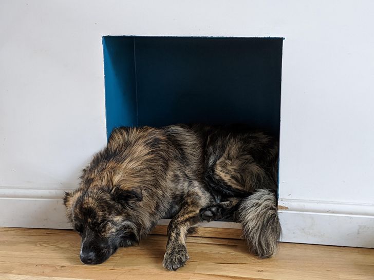 72153e5a06966bb9a03432fd32