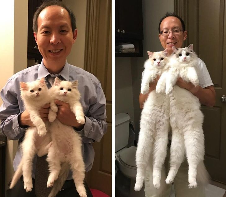 7217b45a2e84ddbc063091189d