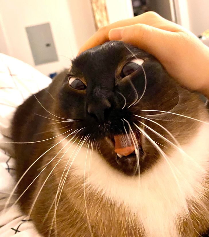 7219dd502e84afd2b7cdaf8e56