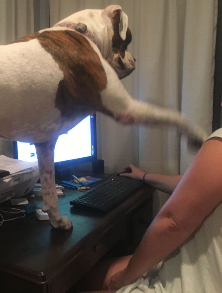 721fd351eaae1530f5f8498c8b