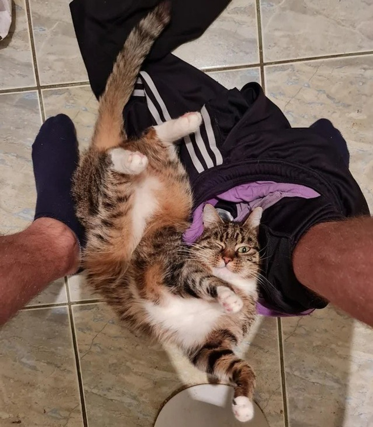 72266c532f9386a26bc4d2ef75