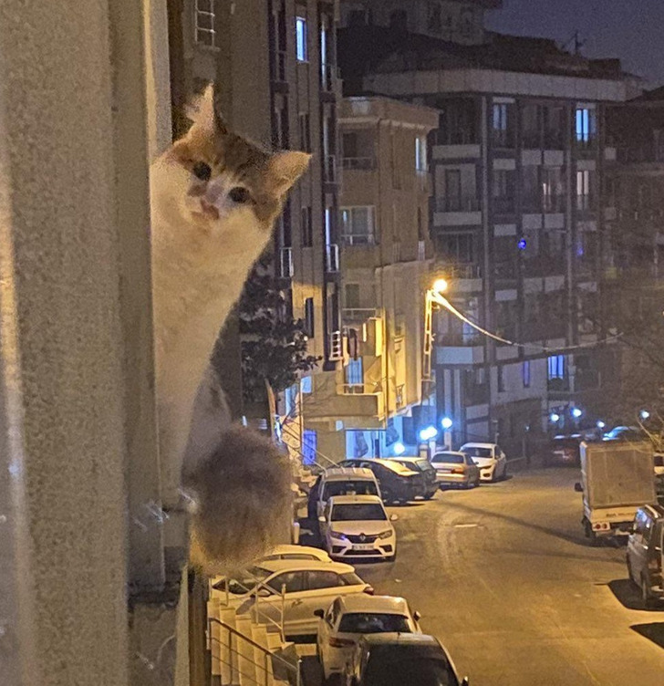 722b86592293f0a2f0d94bfddf