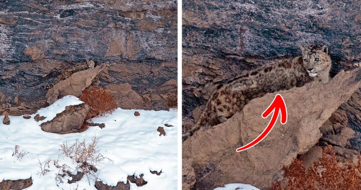 722cc25d55aeb714a23f12de57