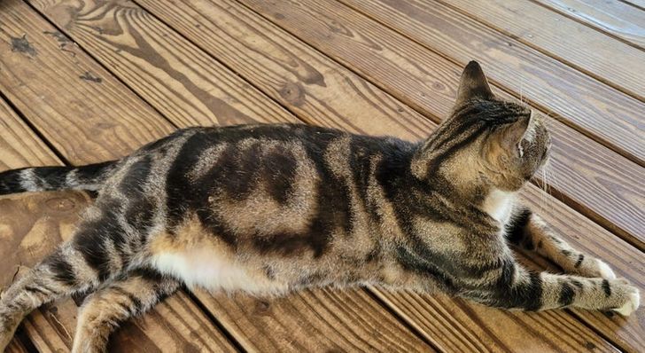 7234a45fa7a198f5d85d28d427