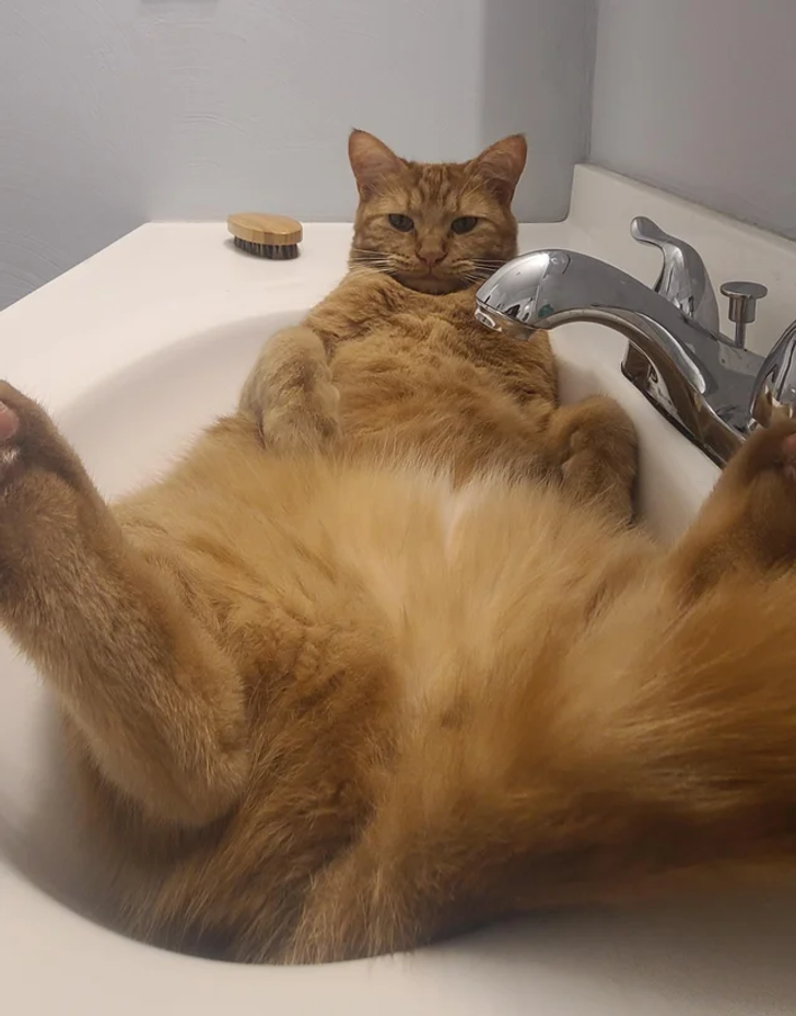 7239645e1ab1fcb997787773a3