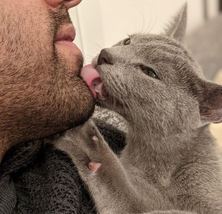 72432e54b9a859386b61844db5