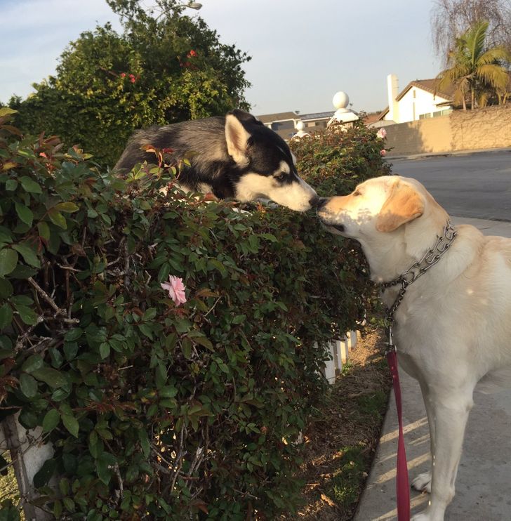 7256ba5a70b32ddf051ce3f212