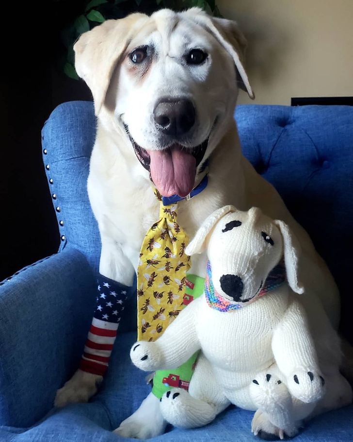 725fc65bc4a832f98fd801bc53