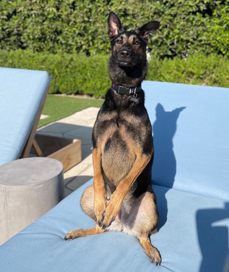 7263d45fd08df2e9ad6d71fa83