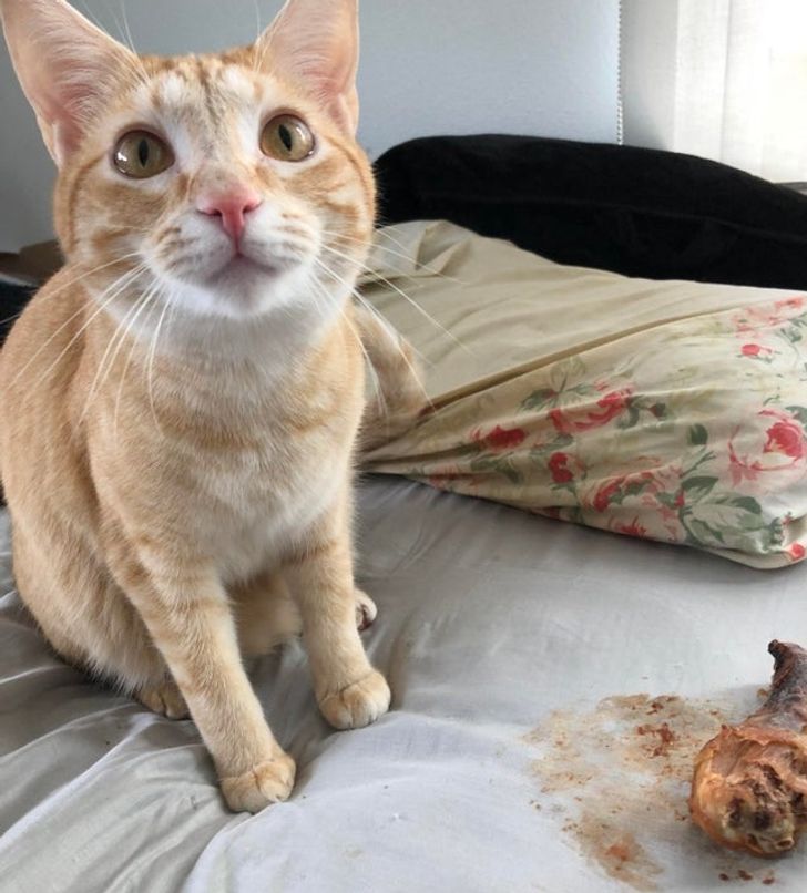 726a7f599293fa4279eb22b9a2