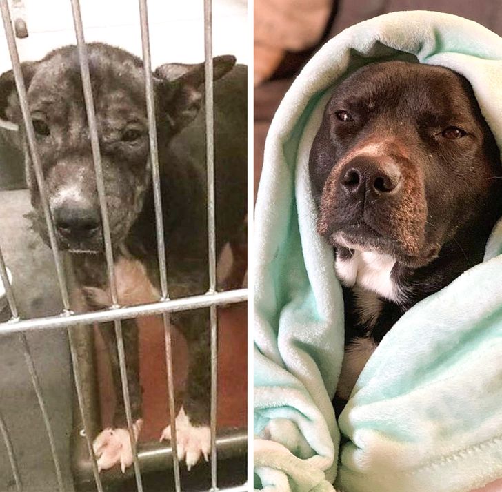 7272ba56239ba58e4a2899c225