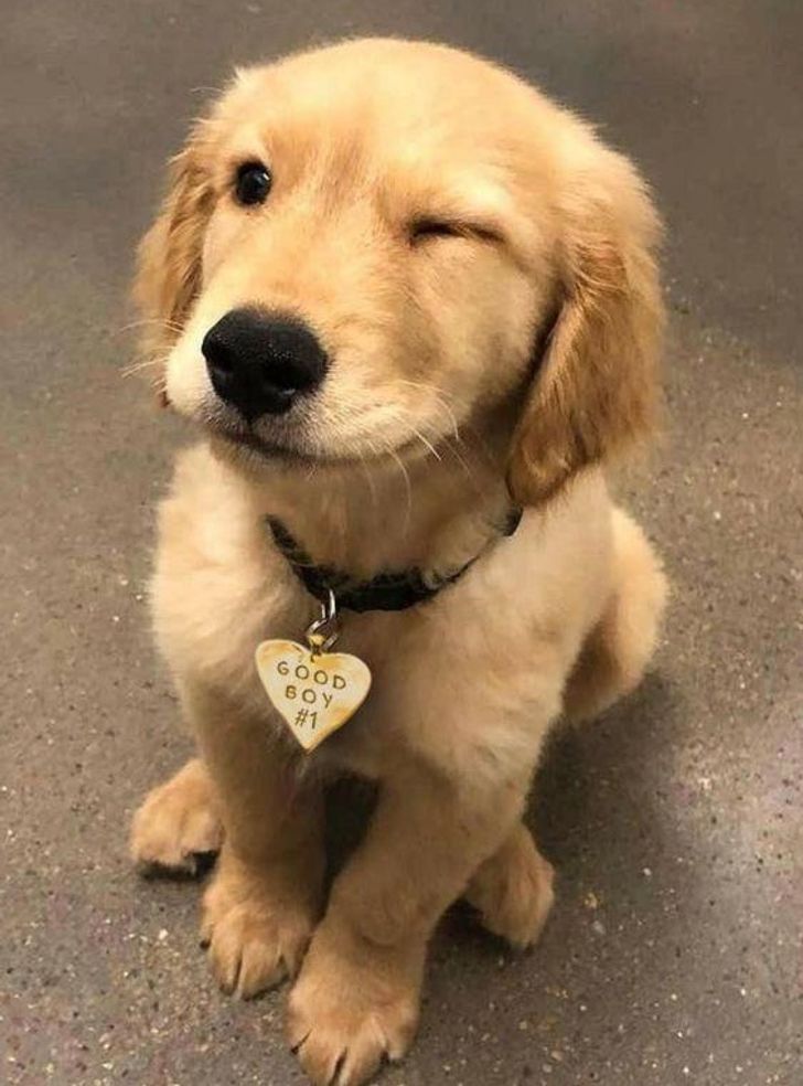 7274925f378e1448daa3f94d44