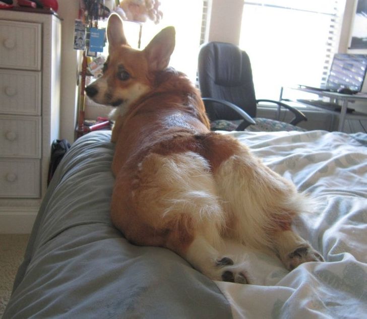 7278425a62afaf66af67ae1598