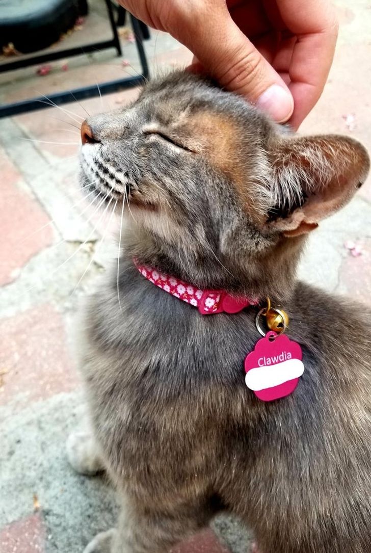 727de9577893e322b484643c53