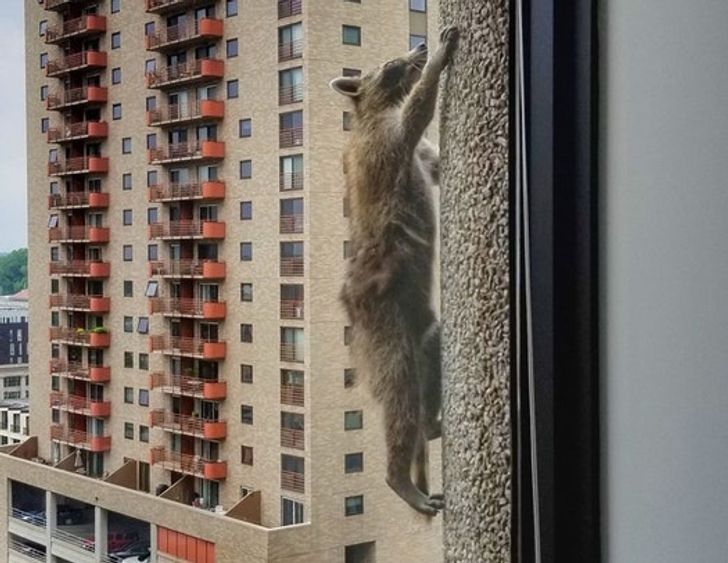 72827058f6939f4c66229d040c