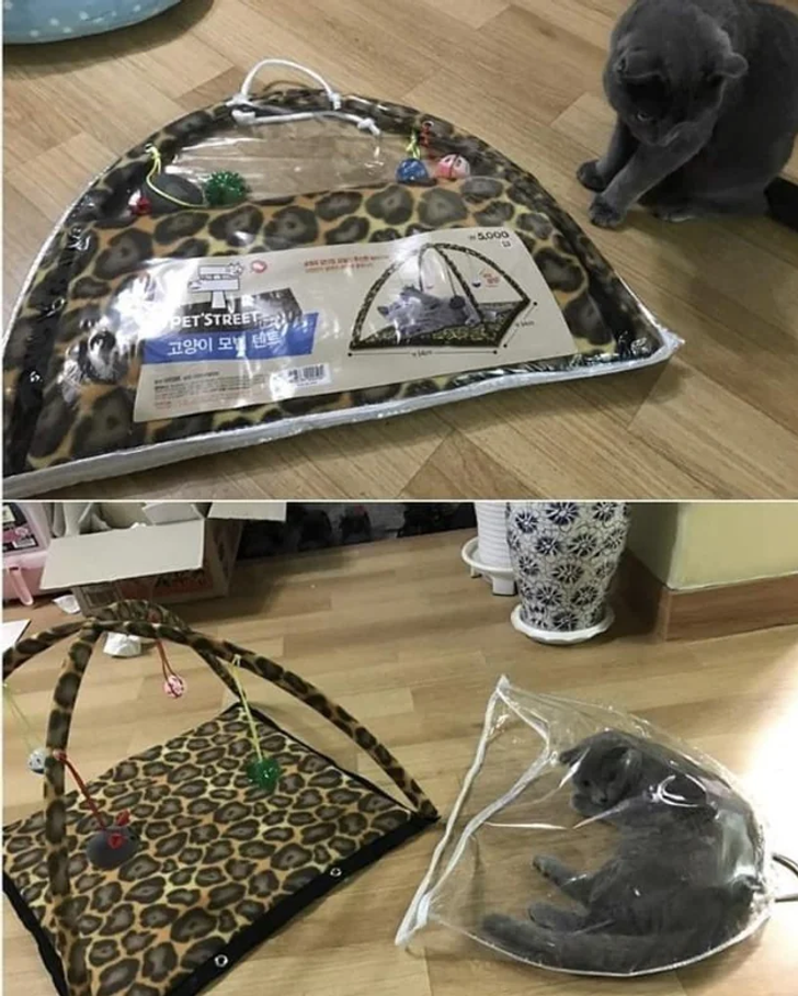 7286bc54a8980edf83d93f0f66 7286bc54a8980edf83d93f0f66