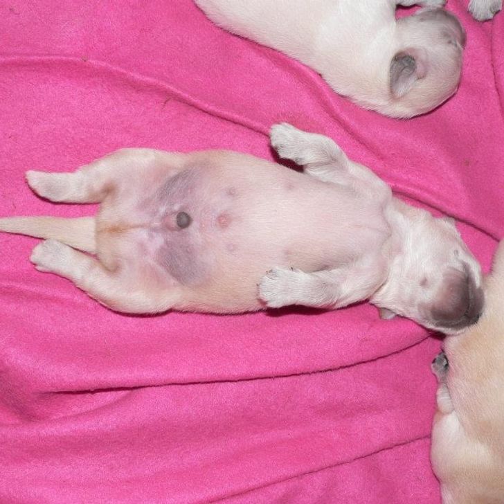 7287f2583eaf4fb6b0fa1fe5df 7287f2583eaf4fb6b0fa1fe5df