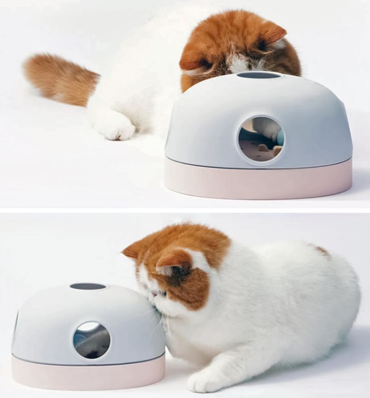 728d5c5788bb0be9d21a097bba