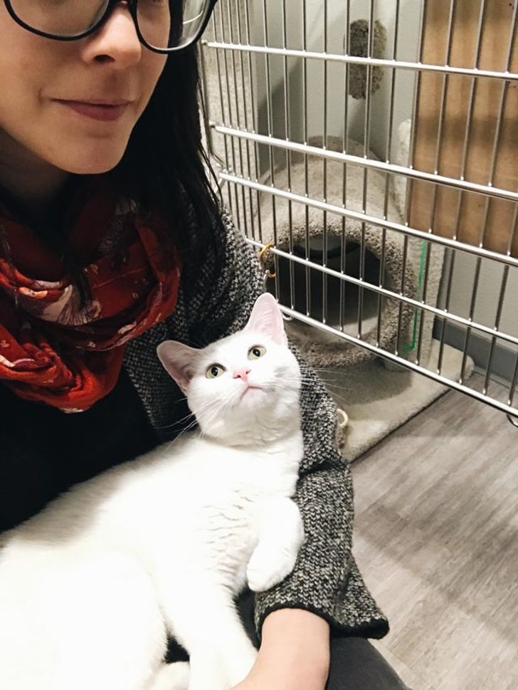 72904756308f59273acc59f1c2