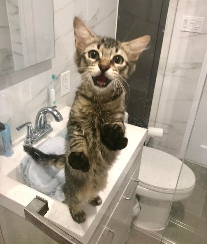 72913650b789f29938c85745fd