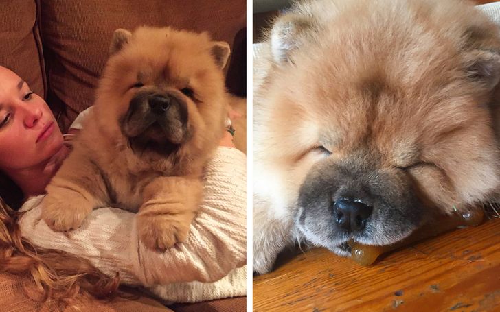 7291db5f7cb60eb2fb52b9848f