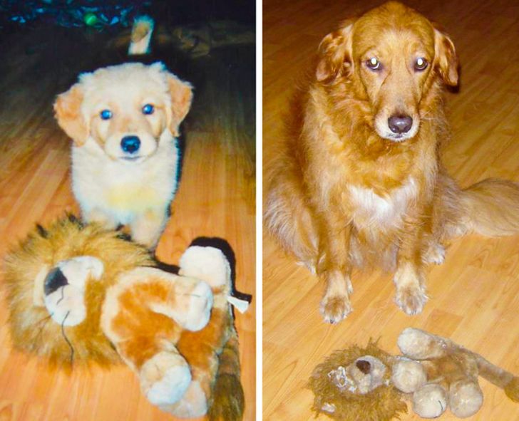 7293c153df82e139c1eb868141