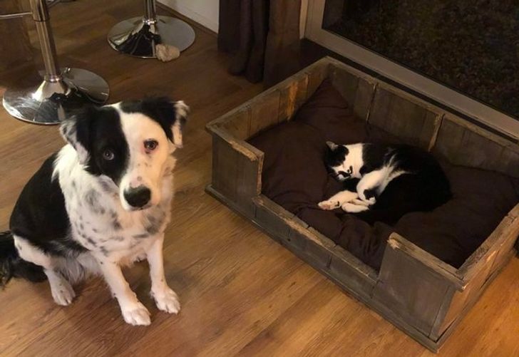 72961d5cc59753fb26fe0244a6