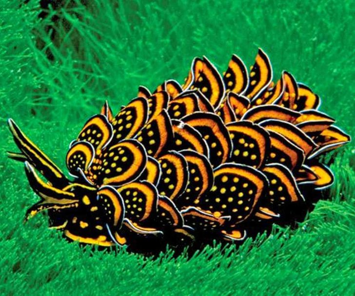 72993c5a36ae865db79f0353bf