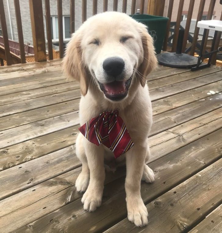 729afc5b30a2087a9f3dae37be