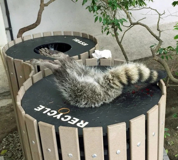 729c135153b75d1ae9dee27cfb