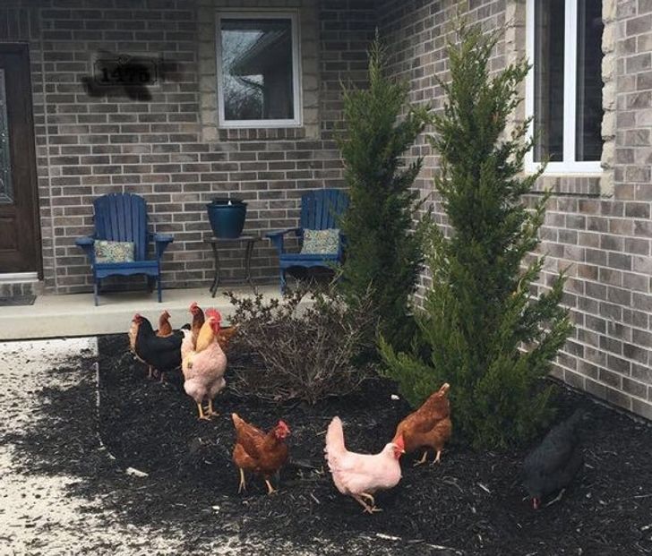 72a1d65eccb7bc9e58dfadb453