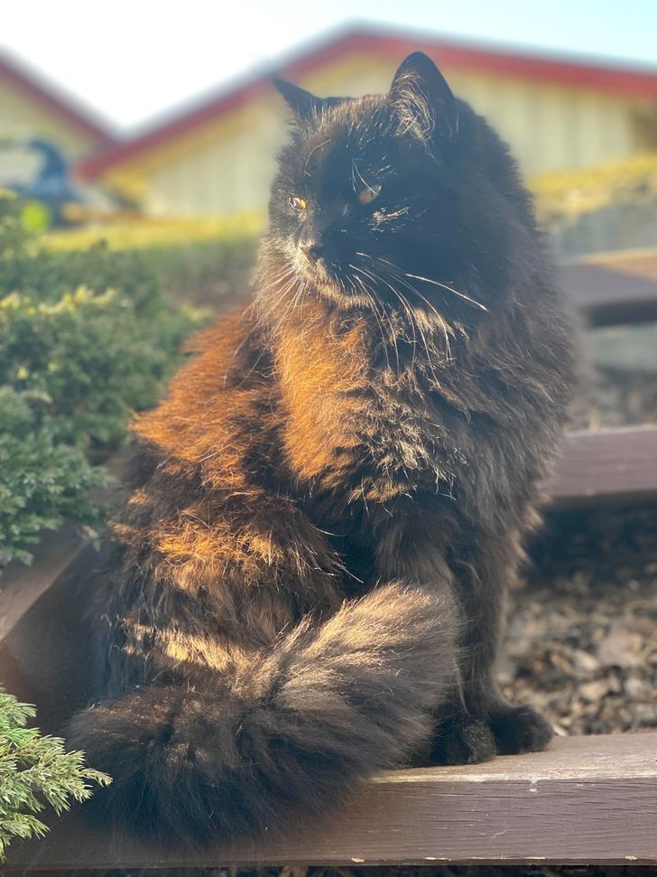 72a4315a72b09e6f85652eeee2