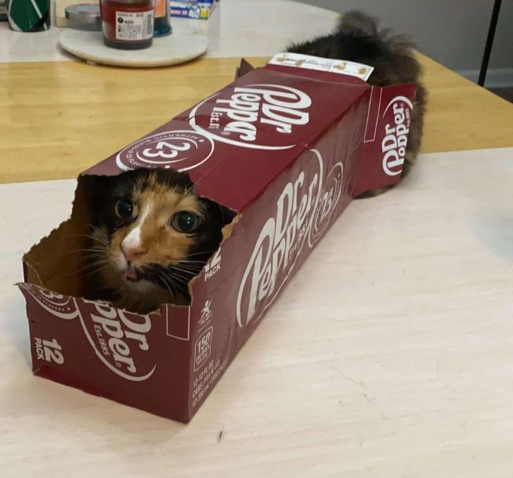 72b37b59c98c2ae531c51b5392