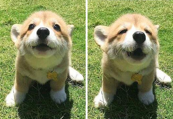 72b57252af9409b85c056babc0