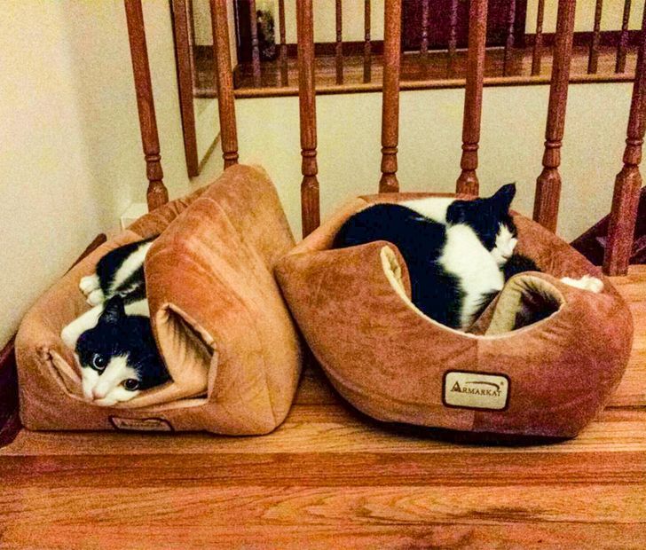 72ba92570fa221d7296e05731e