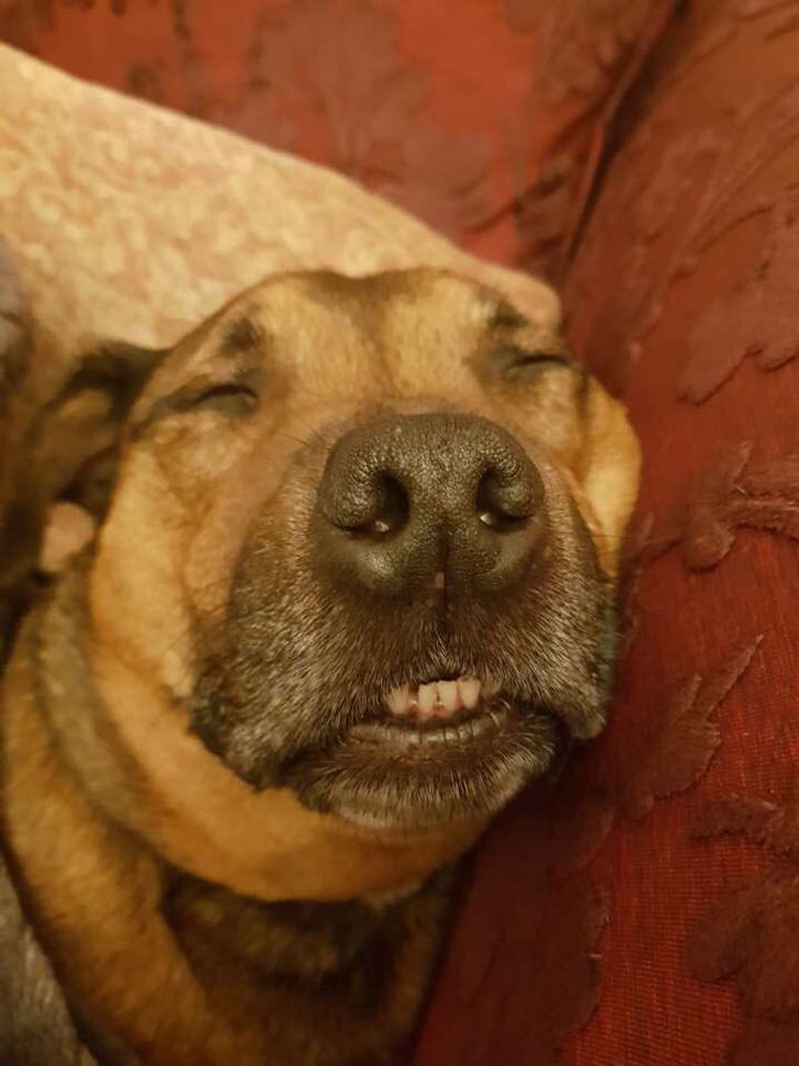 72bad35114b88e25408b97e893