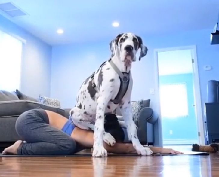 72bb9559deb385fc7a32a49970