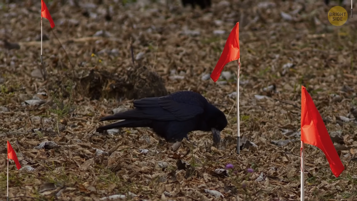 72bcbb5fadb5be5a5abd944fde