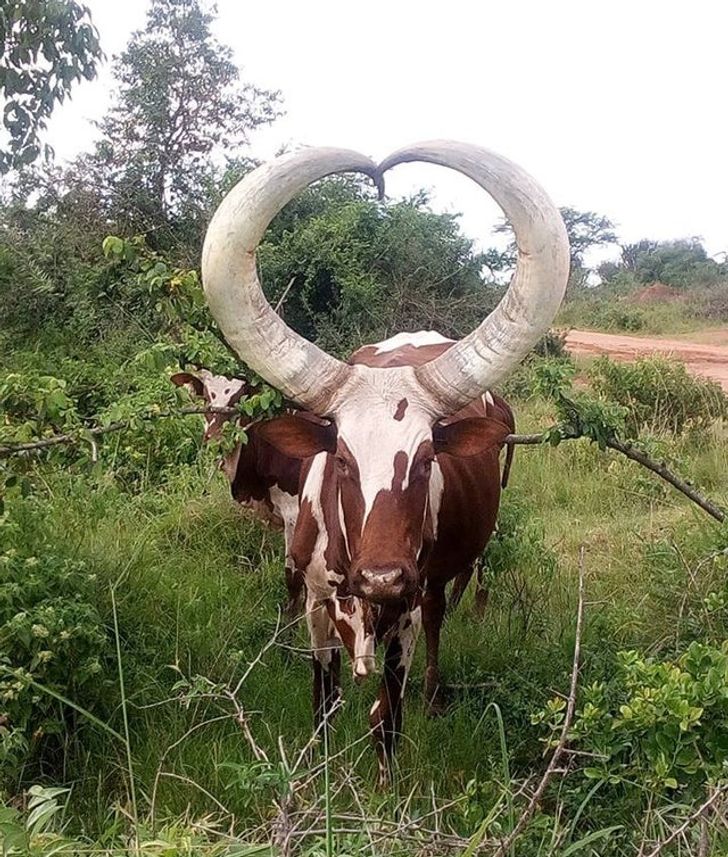 72c34050b491815eb4f5309e15