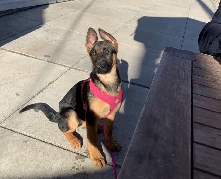 72c908574aa31c31f46a1d260f