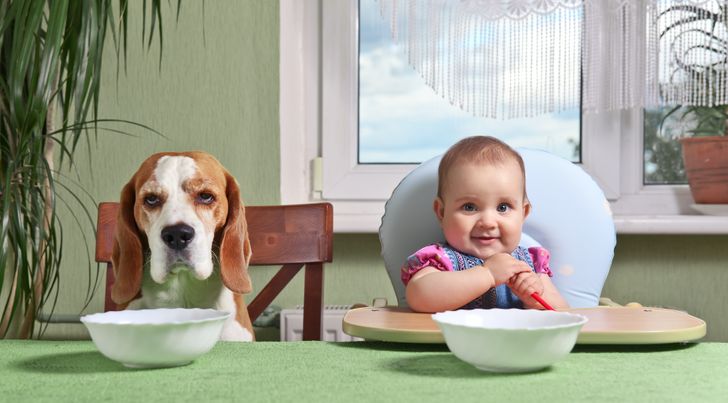 72d7ca5095be742e54a0d8c1f7