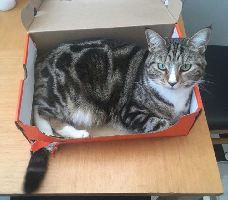 72d9245d58906fca0e7513bb23