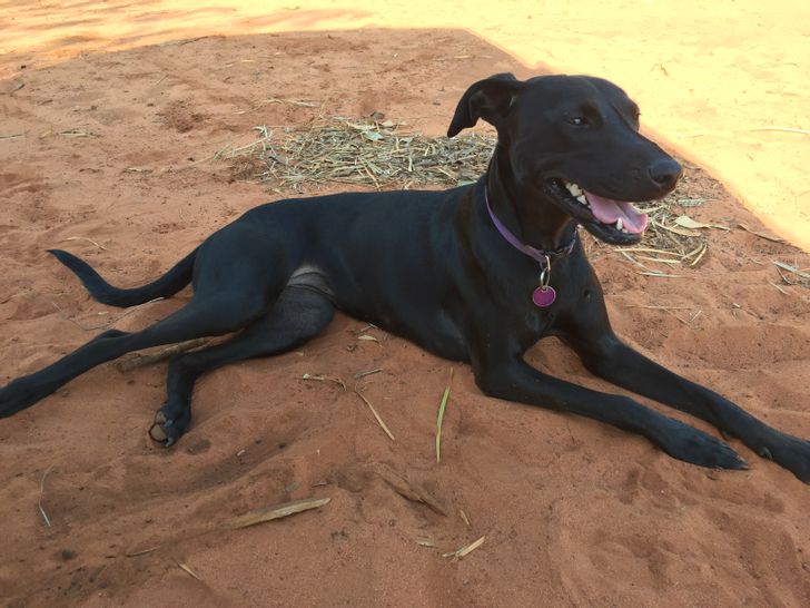 72d9d357a39cc358e4579501de