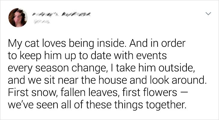 72db53580691c8d91baa00bbaa