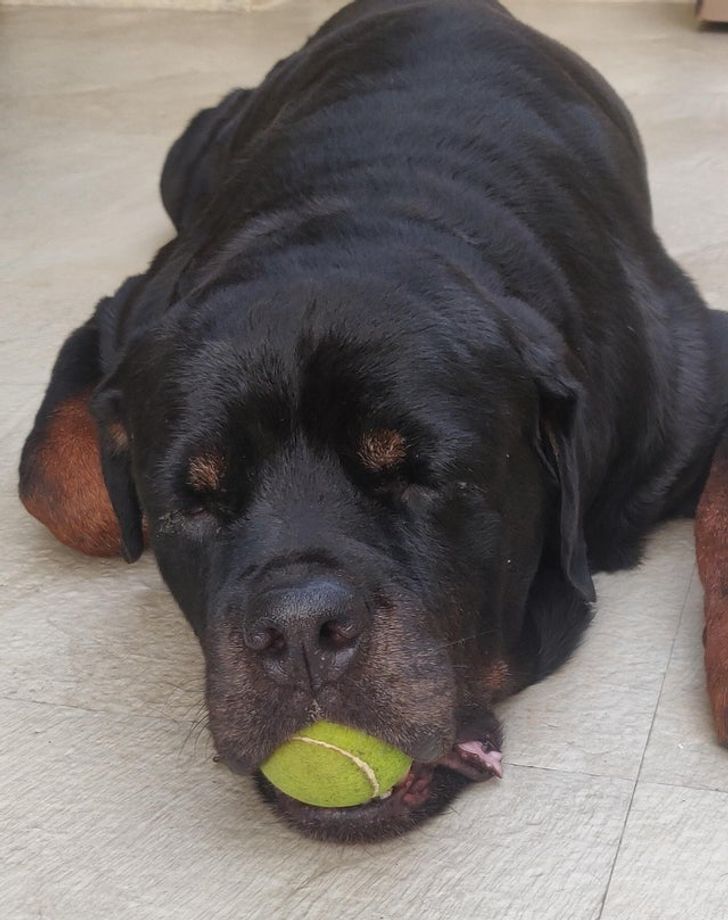 72e351585e86323bbd8307f013